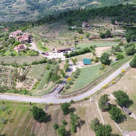 Agriturismo Villa Iris Castelfranco di Sopra Exterior foto