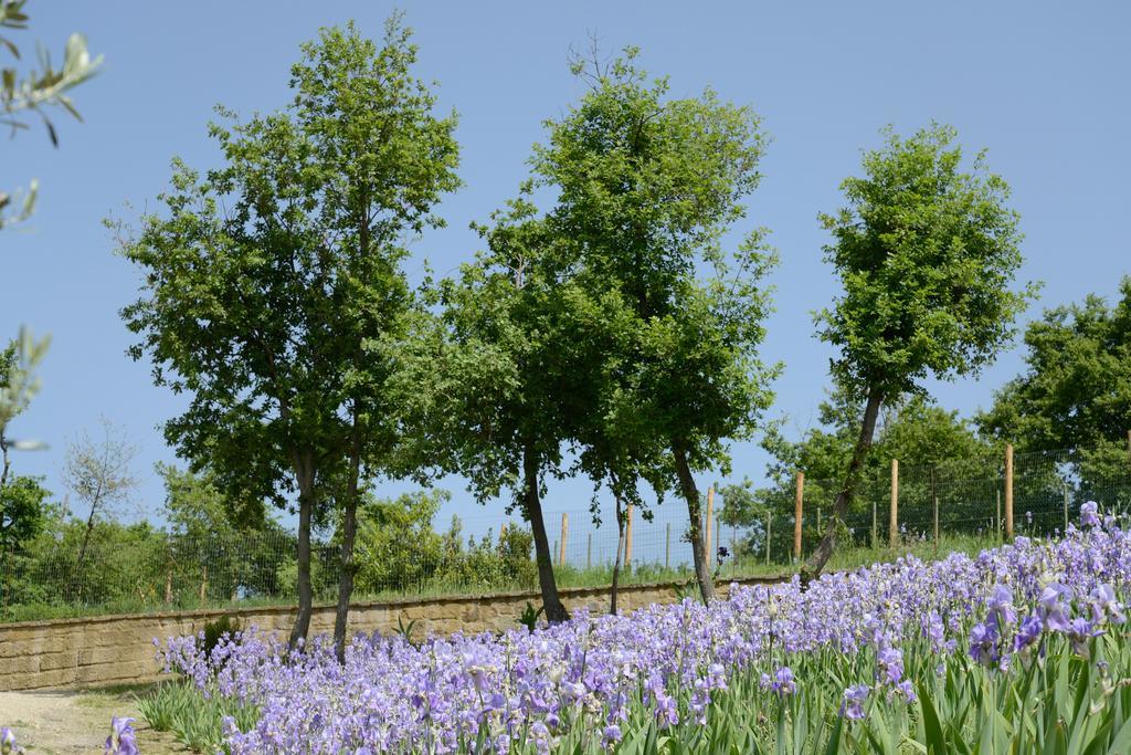 Agriturismo Villa Iris Castelfranco di Sopra Exterior foto