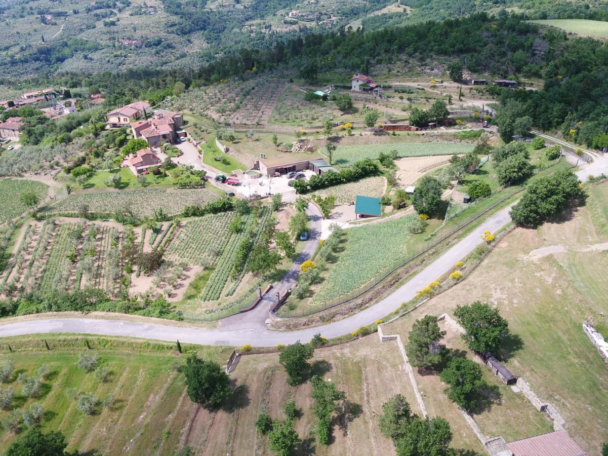 Agriturismo Villa Iris Castelfranco di Sopra Exterior foto