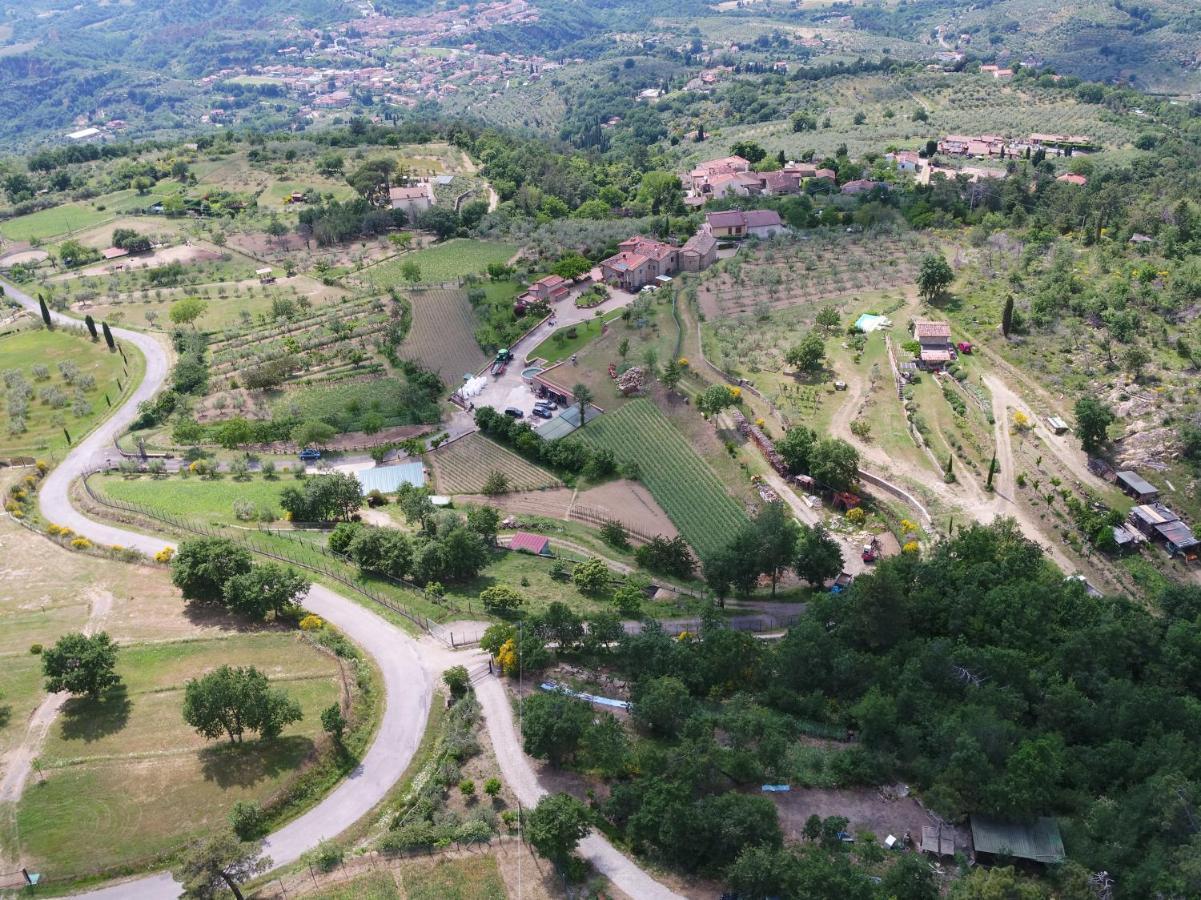 Agriturismo Villa Iris Castelfranco di Sopra Exterior foto
